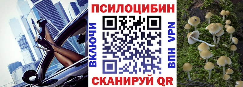 Галлюциногенные грибы Cubensis Солнечногорск