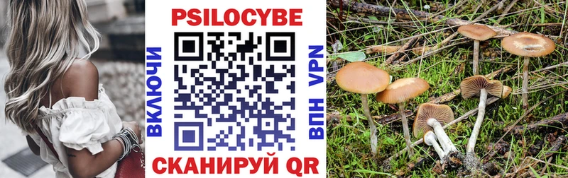 Псилоцибиновые грибы Cubensis  Солнечногорск 